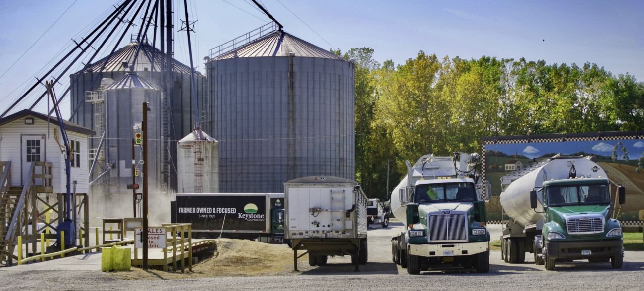 Trucks are parked in front of a grain storage silo