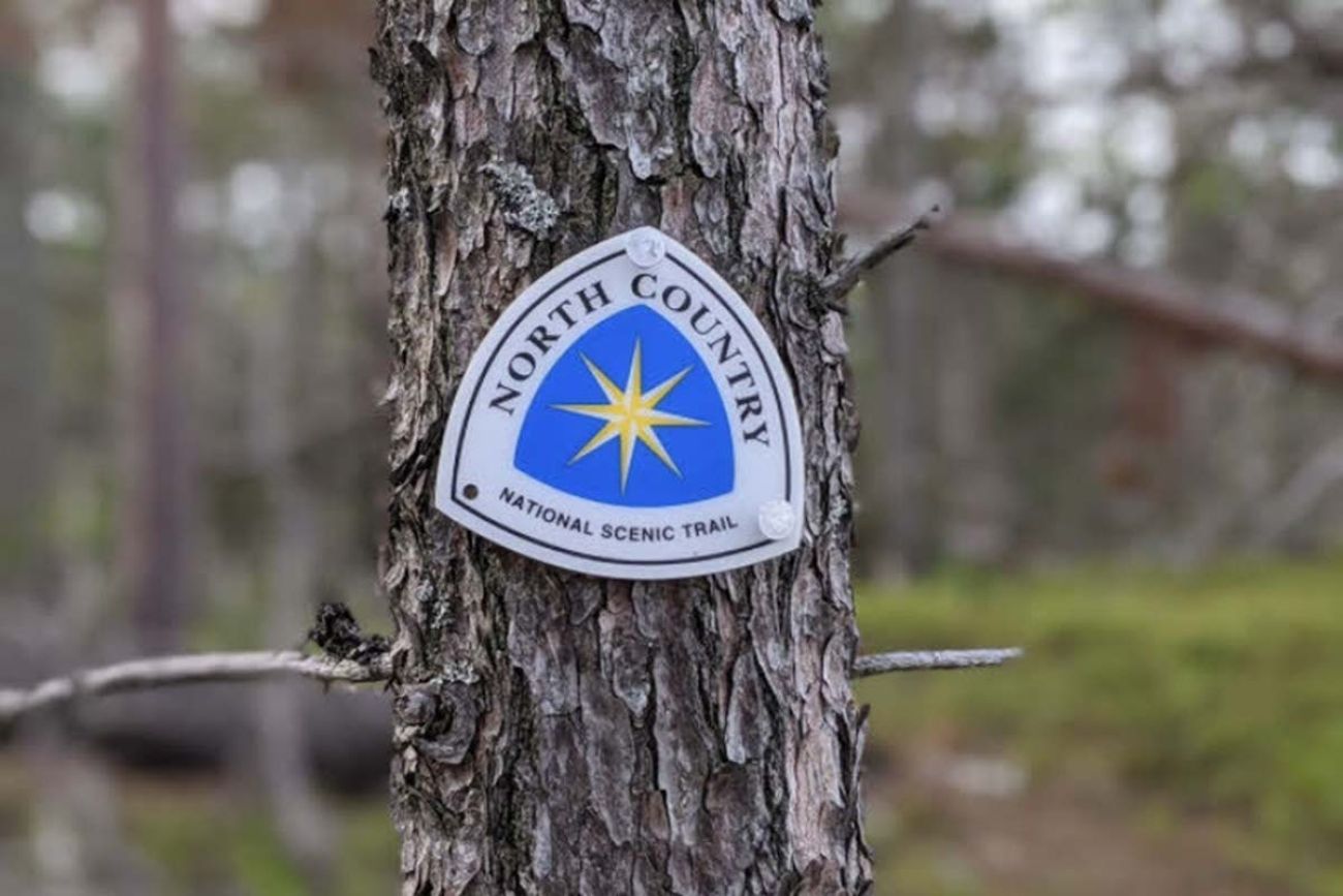 A sign for the North Country Trail on a tree. 