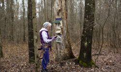 Kim Gillow stands next to a tree in a forest. She speaks into a wind phone