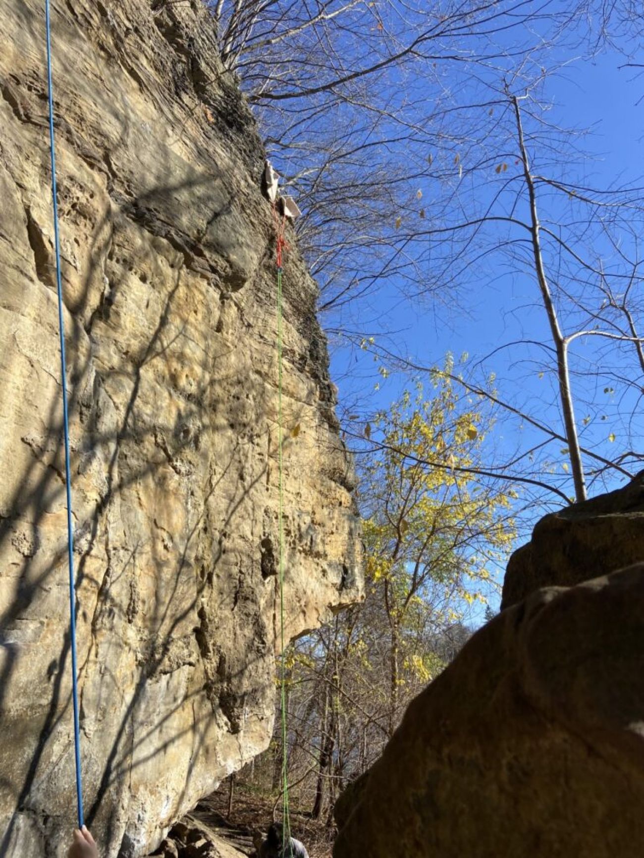 people rock climbing 