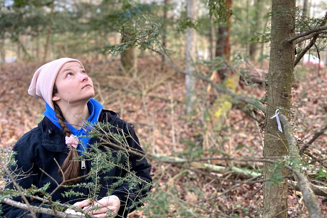 woman looking up in forest 