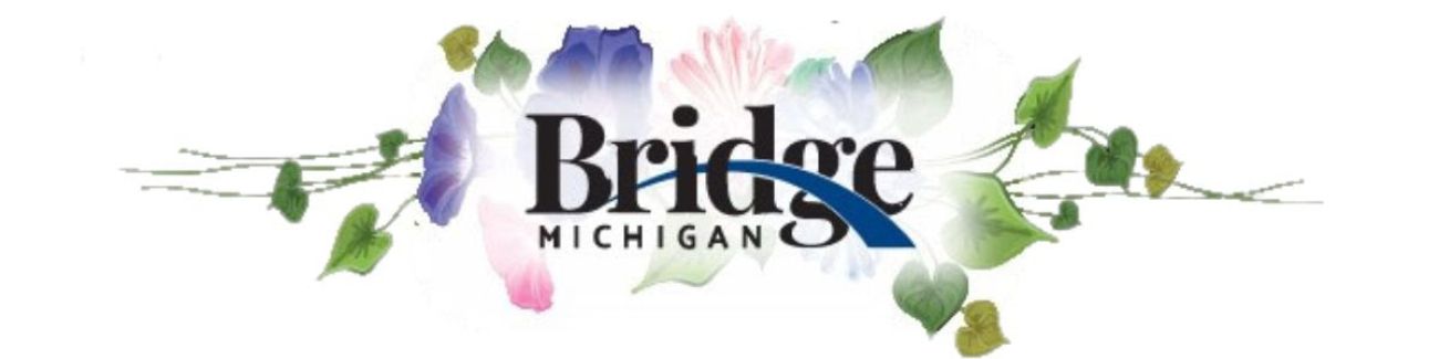 bridge michigan spring campaign 