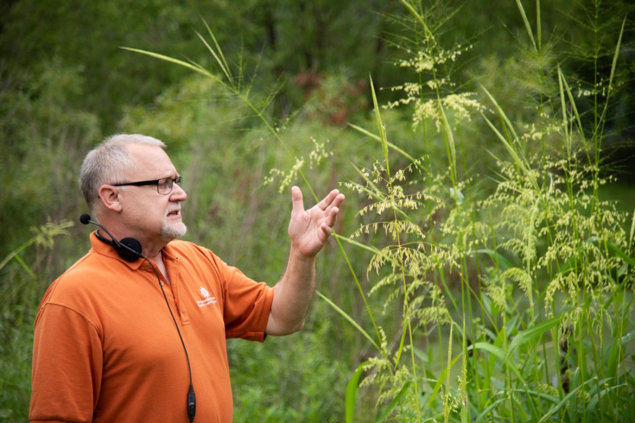 Man stands in field