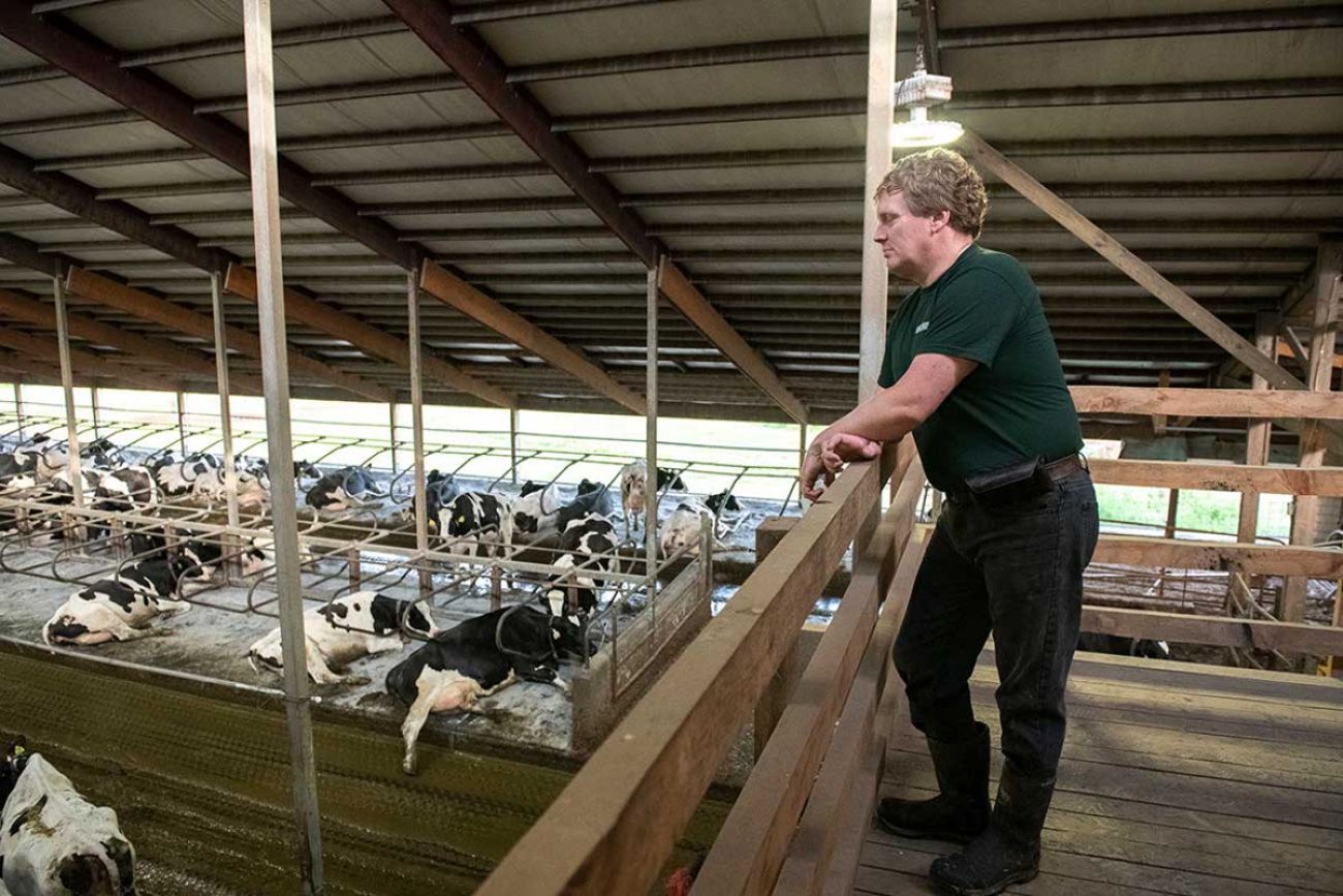 Michigan state Sen. Ed McBroom looking at cows