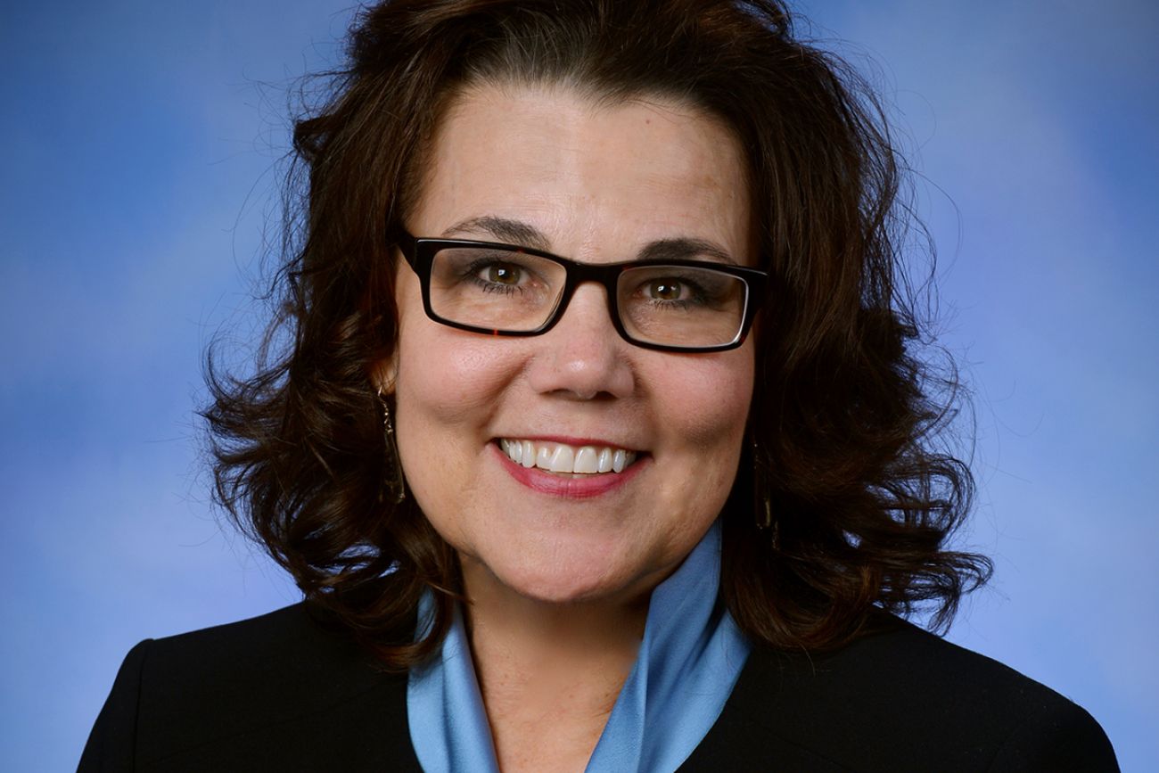 Rep. Ann Bollin headshot