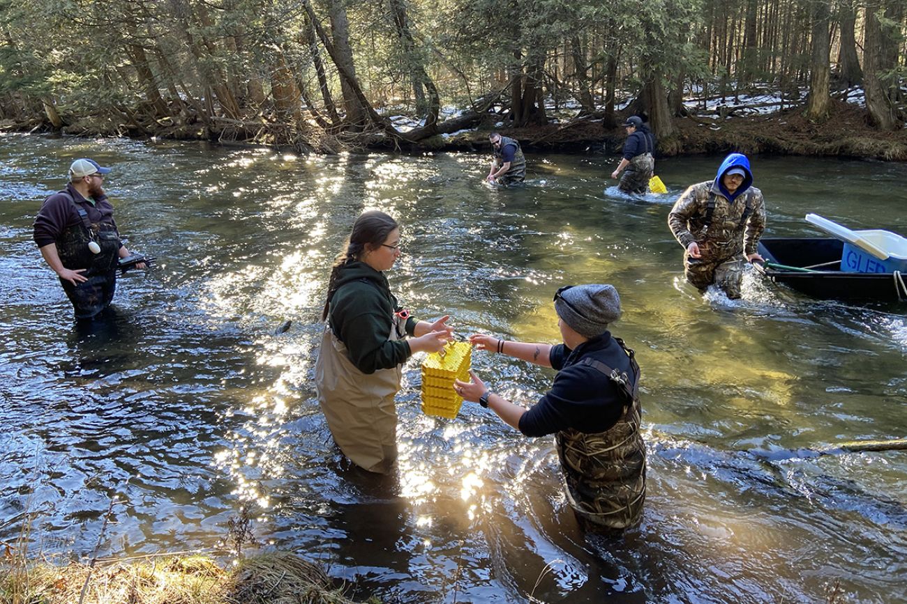 people picking up fishes on the river