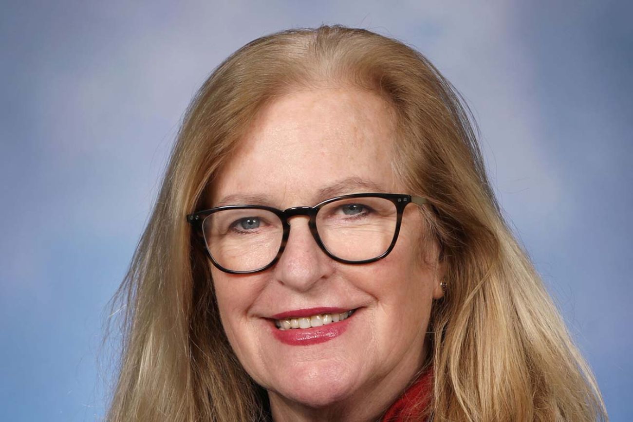 State Rep. Jennifer Conlin, D-Ann Arbor, headshot