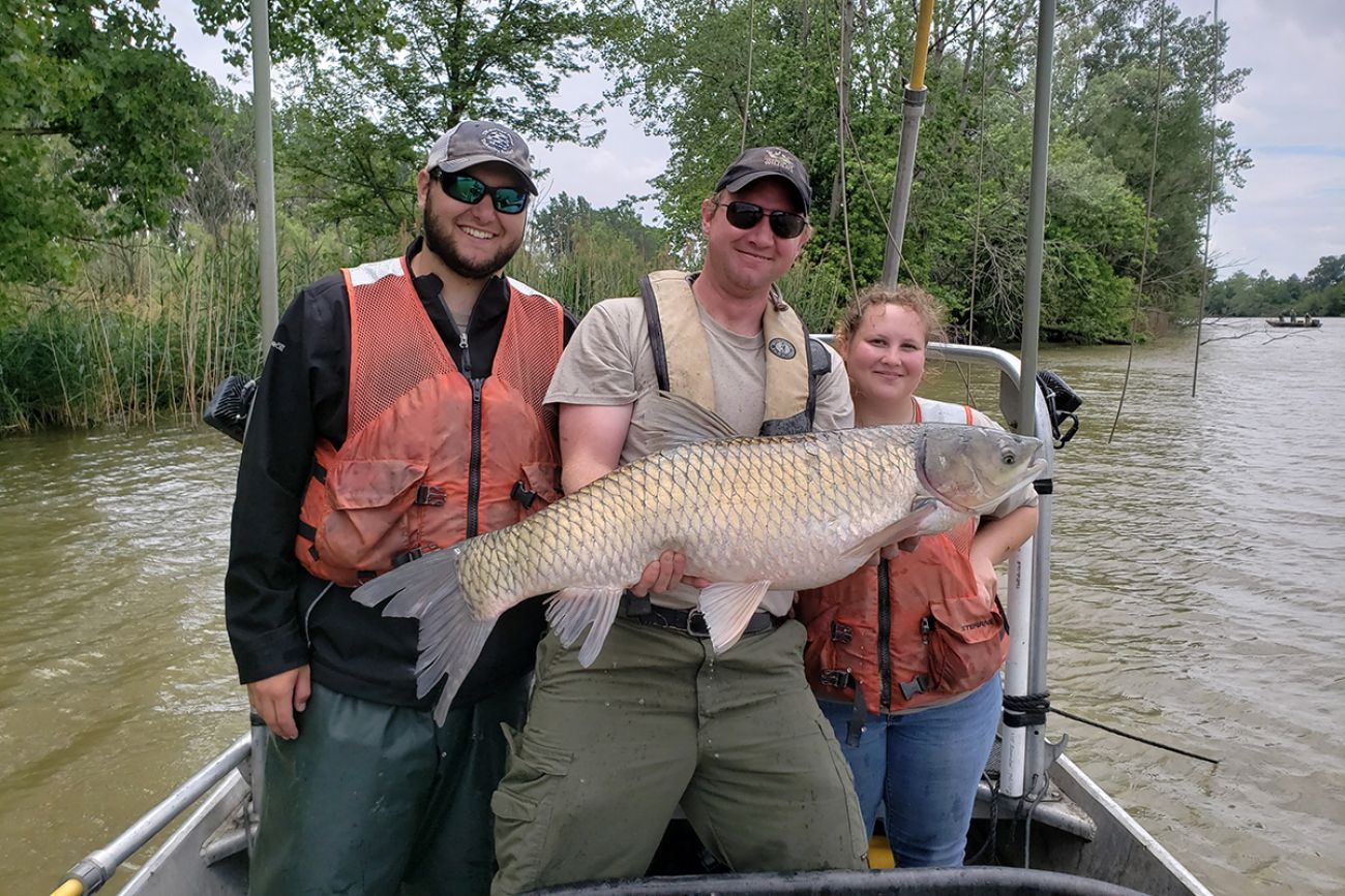 Staff with the Ohio Department of Natural Resources on a boat. One man is holding a grass carp