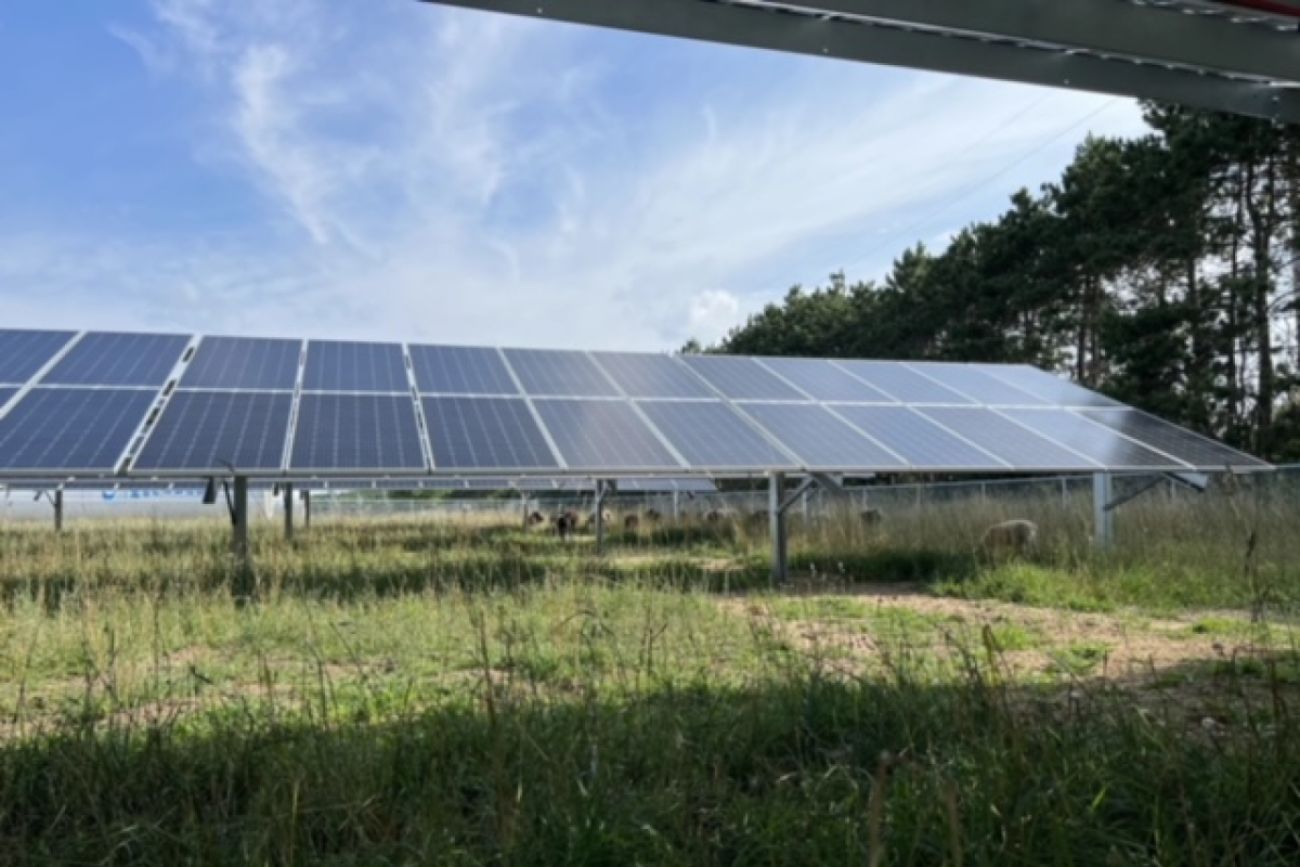 Solar panels in field