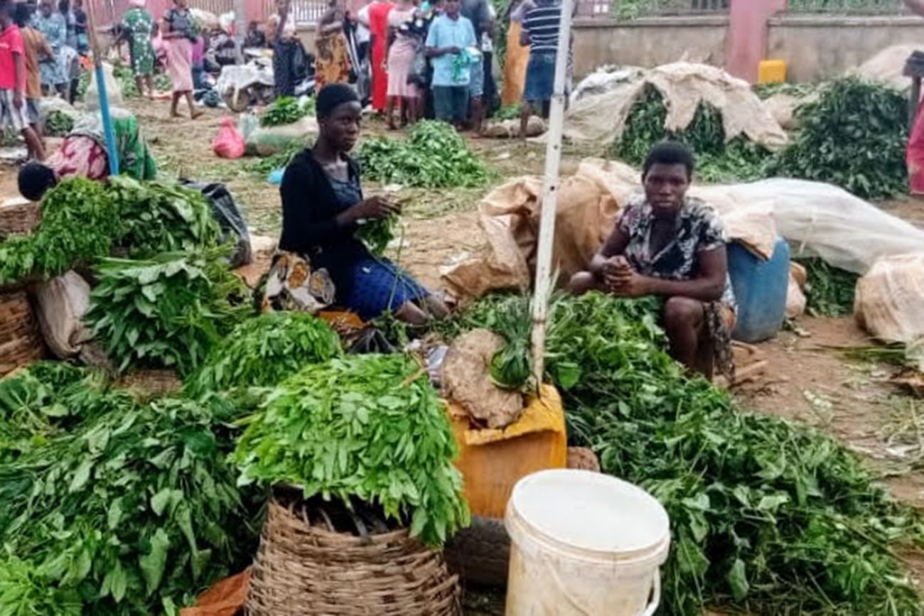 Women in Nigeria sorting piles of greens.