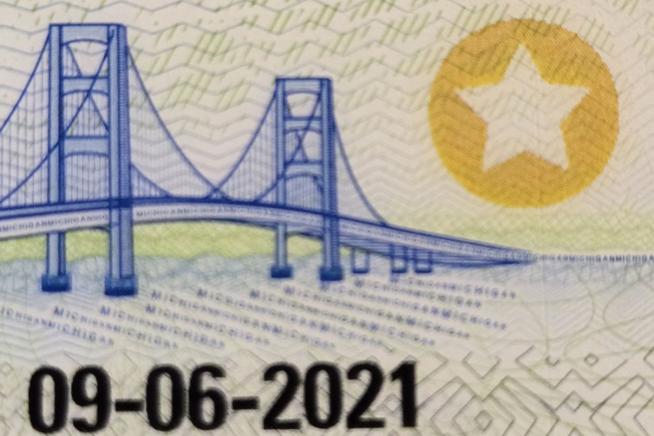 A closeup of the gold star on a Michigan license. 