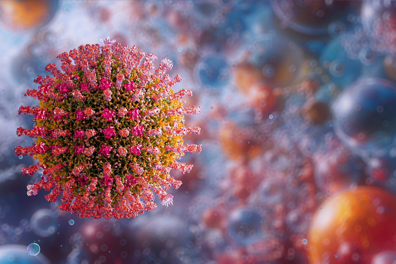 An illustration of the measles virus