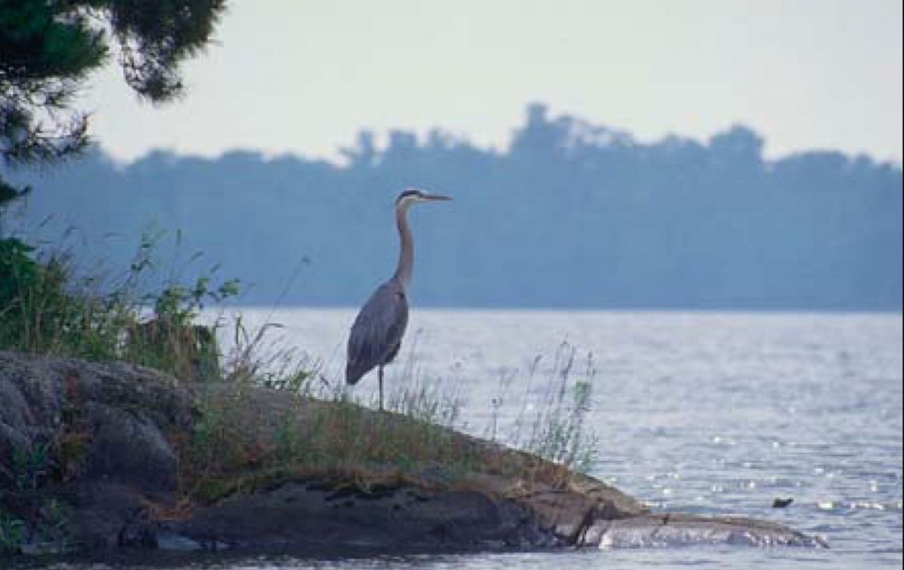 muskegon lake