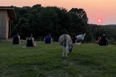 yoga session