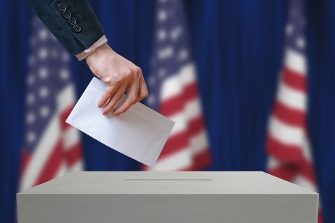 person voting