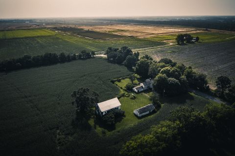 aerial view of green area