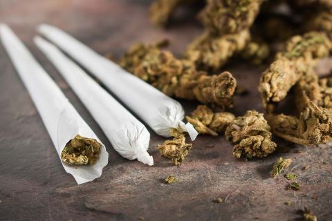 marijuana joints and buds on a stone table