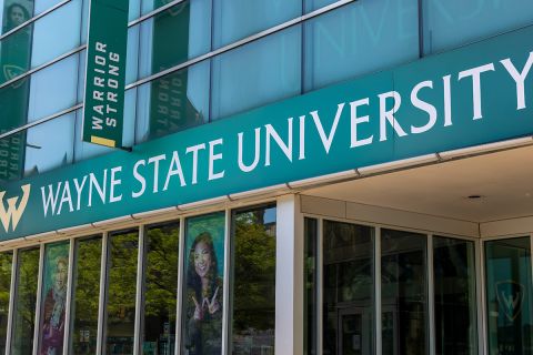 wayne state university 