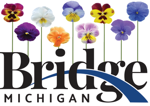 bridge michigan spring logo