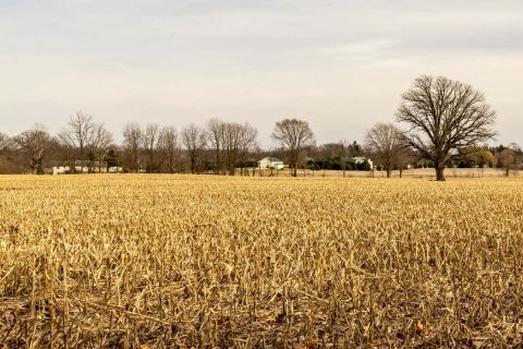 Farmland in Livingston County.