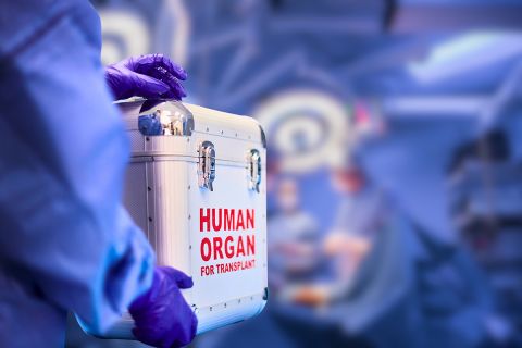 This image shows a medical professional wearing purple gloves holding a sterile transport box labeled "Human Organ for Transplant." The background appears to be a blurred surgical or medical facility.