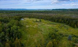 aerial view of what looks like a forest