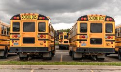 school buses