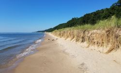 beach on a sunny day