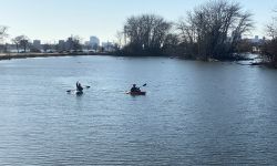 people canoeing 