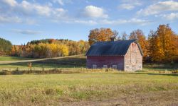 An old barn in a field with trees in autumn color on a bright afternoon in rural Michigan