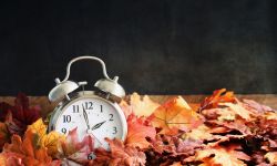  Alarm clock in colorful autumn leaves against a dark background with shallow depth of field and free space for text. Daylight savings time concept.