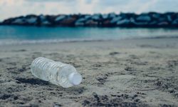 Bottle plastic on stone ground show long life garbage concept