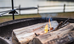 Logs in a fire pit