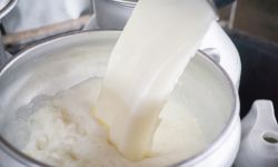 Pour raw milk into a bucket